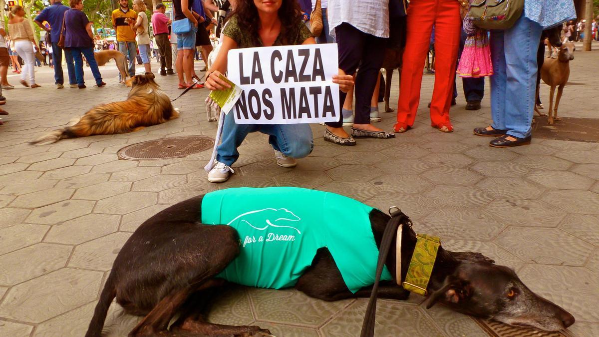 Las 'rebajas' y recortes de la Ley de Bienestar Animal