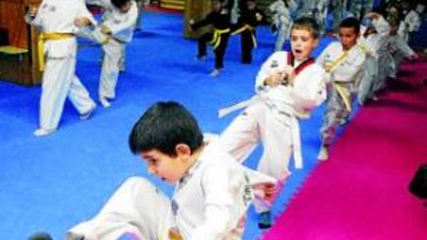 El taekwondo extremeño busca su camino y prepara el relevo federativo