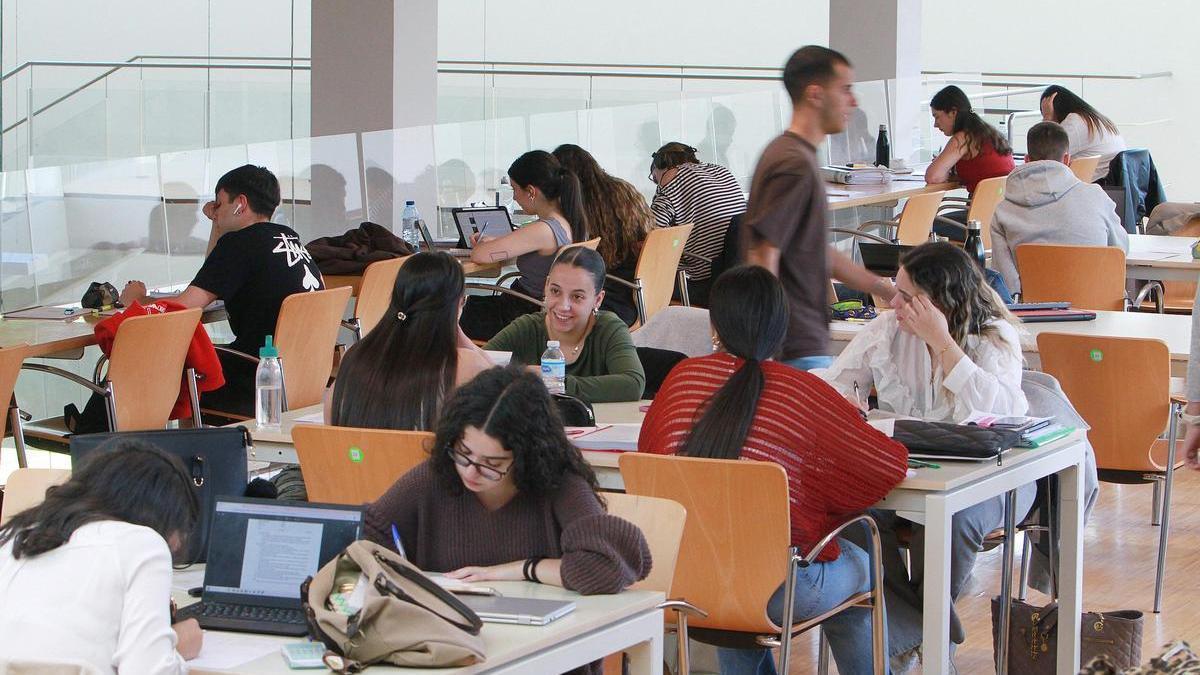 Estudiantes universitarios.