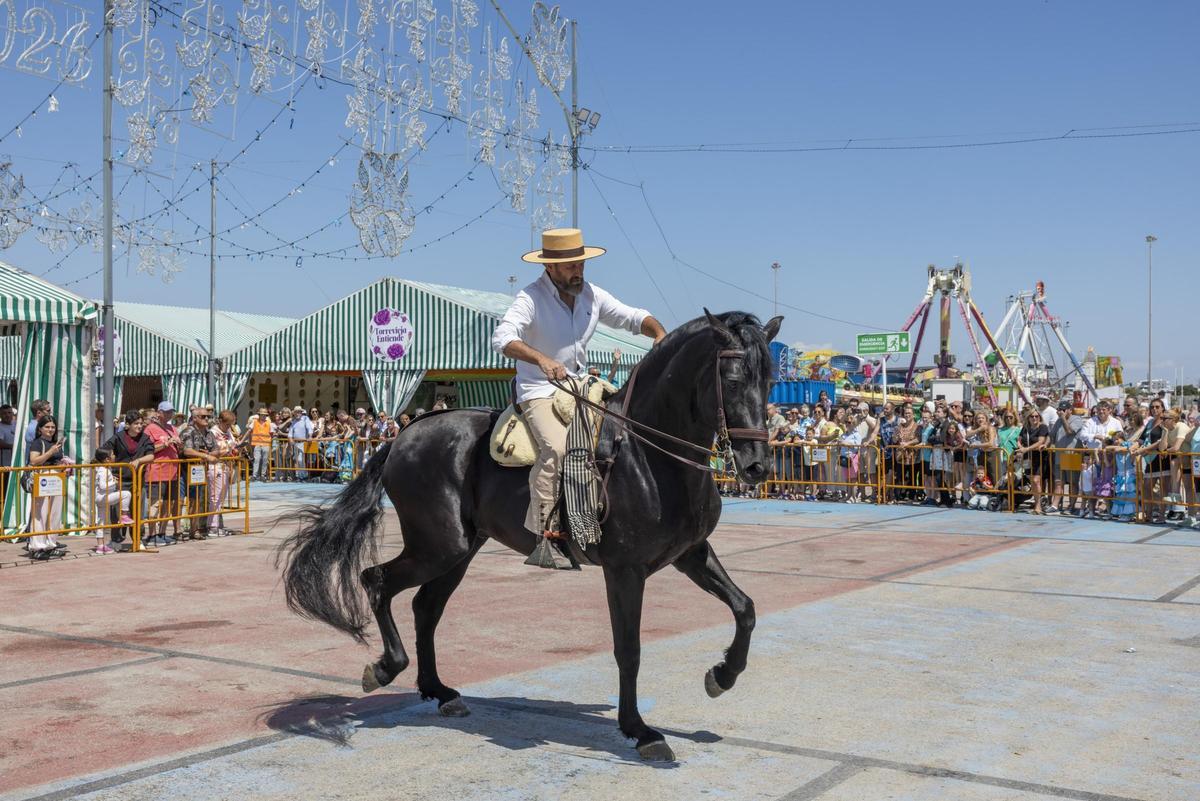Desfile de carrozas y caballistas de la Feria de Mayo 2026 de Torrevieja este domingo
