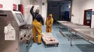 Los temporales dejan el enero con menos pescado y marisco en las lonjas de Galicia en 30 años
