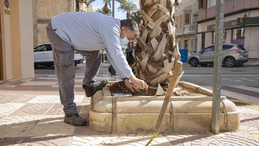 Un operario coloca junto al árbol el azulejo con el nombre del bebé, arriba a la derecha. | A.P.