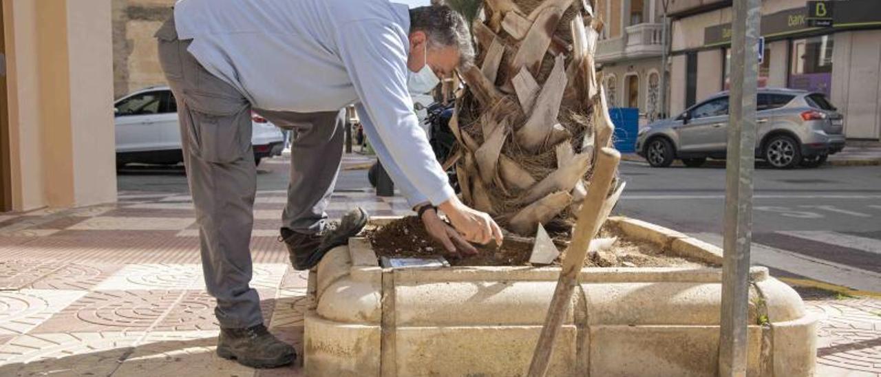 Un operario coloca junto al árbol el azulejo con el nombre del bebé, arriba a la derecha. | A.P.