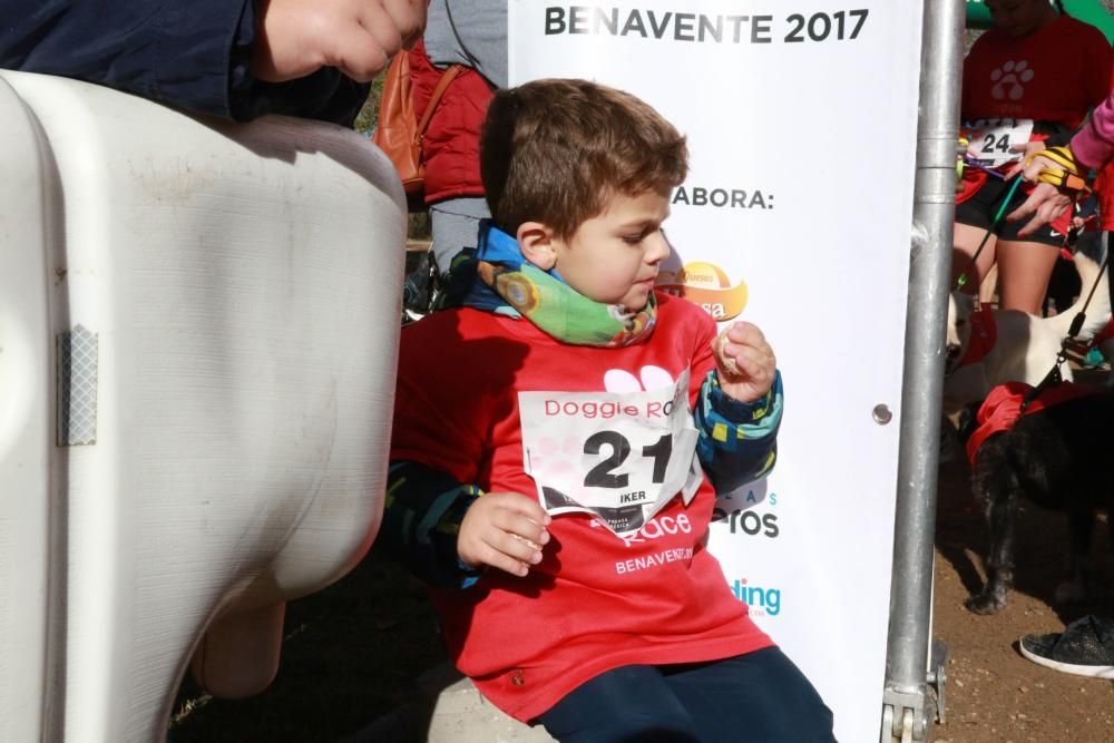 Así ha sido la Doggie Race en Benavente