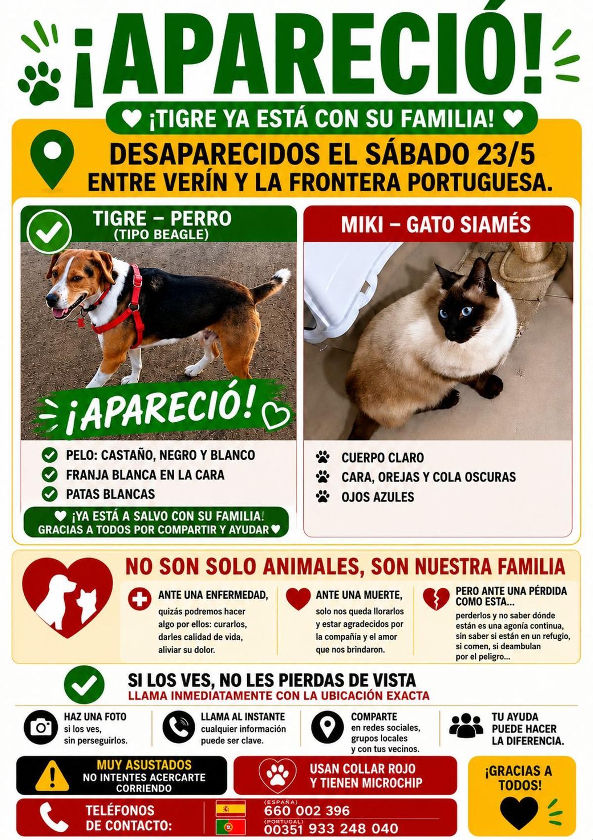 Cartel de búsqueda.