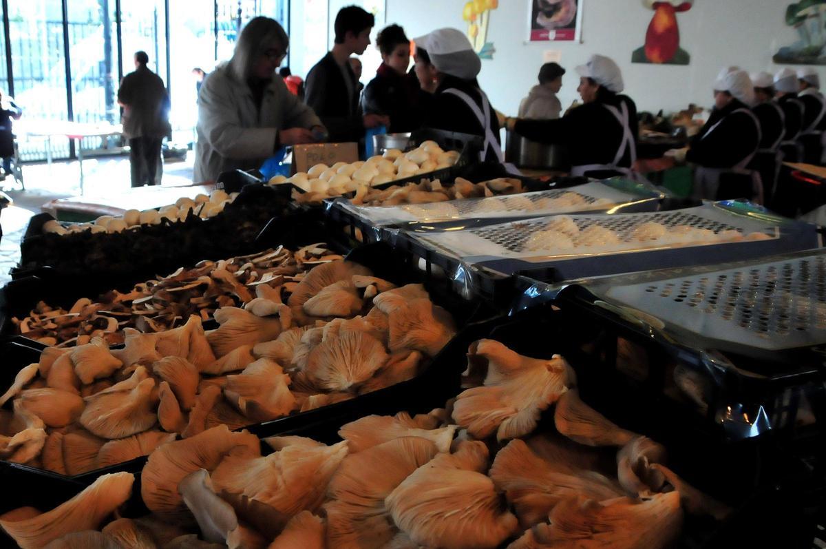 Ya en 2012, los aficionados mostraban una gran variedad de producto.