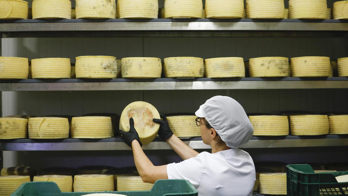 La revitalización del queso de Los Pedroches.