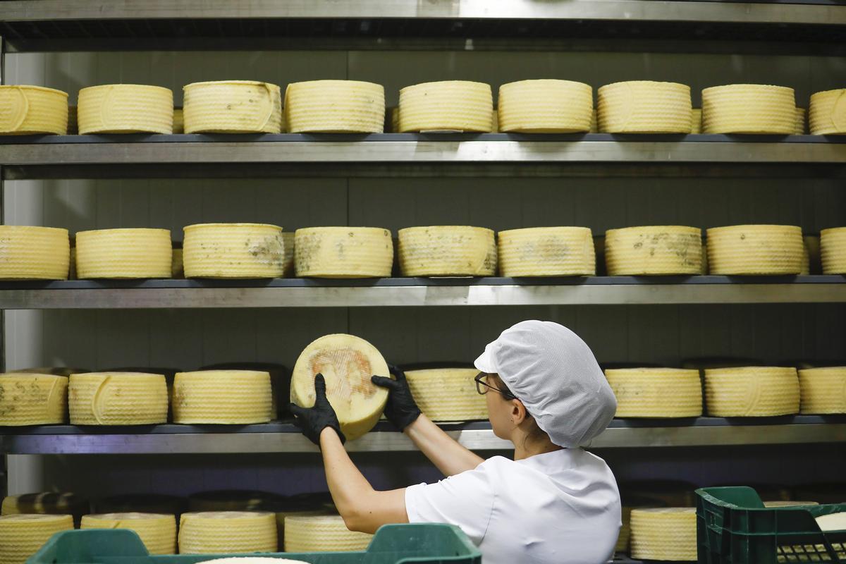 La revitalización del queso de Los Pedroches.