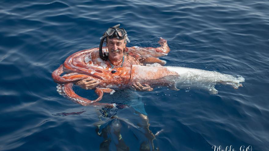 Encuentra un calamar gigante al suroeste de Tenerife