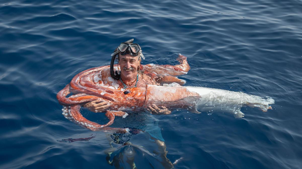 ojo de calamar gigante