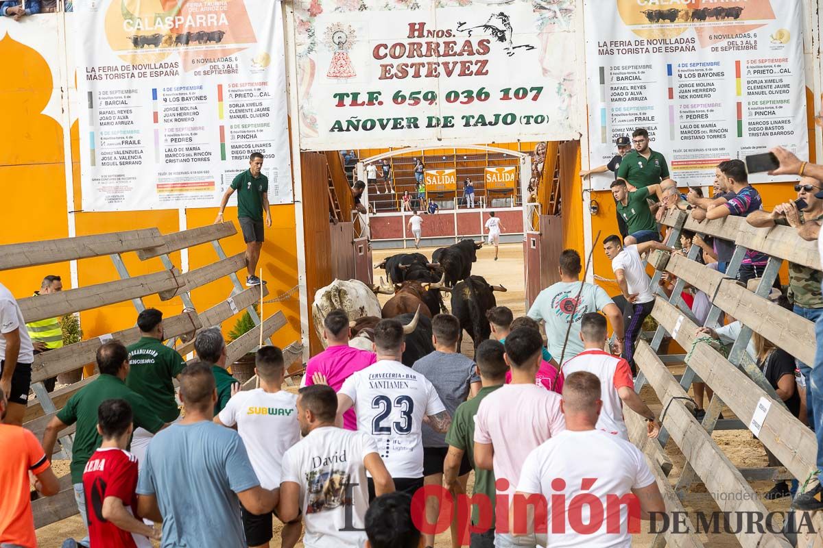 Primer encierro de la Feria Taurina del Arroz en Calasparra