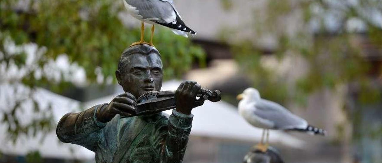 Gaviotas posadas sobre estatuas de Pontevedra. // G. Santos