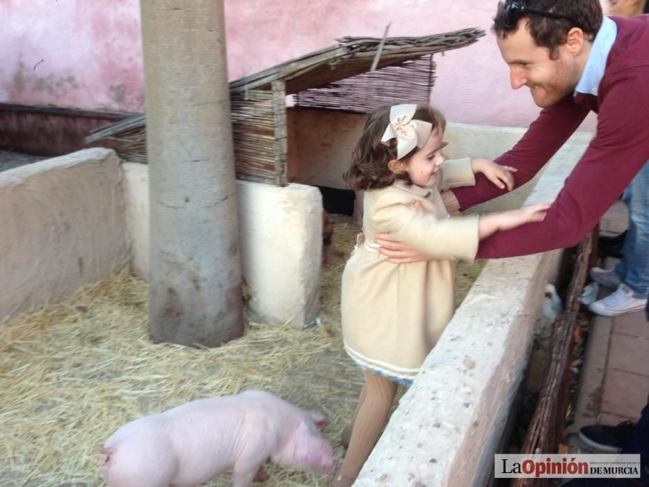 Belen Viviente de El Raal