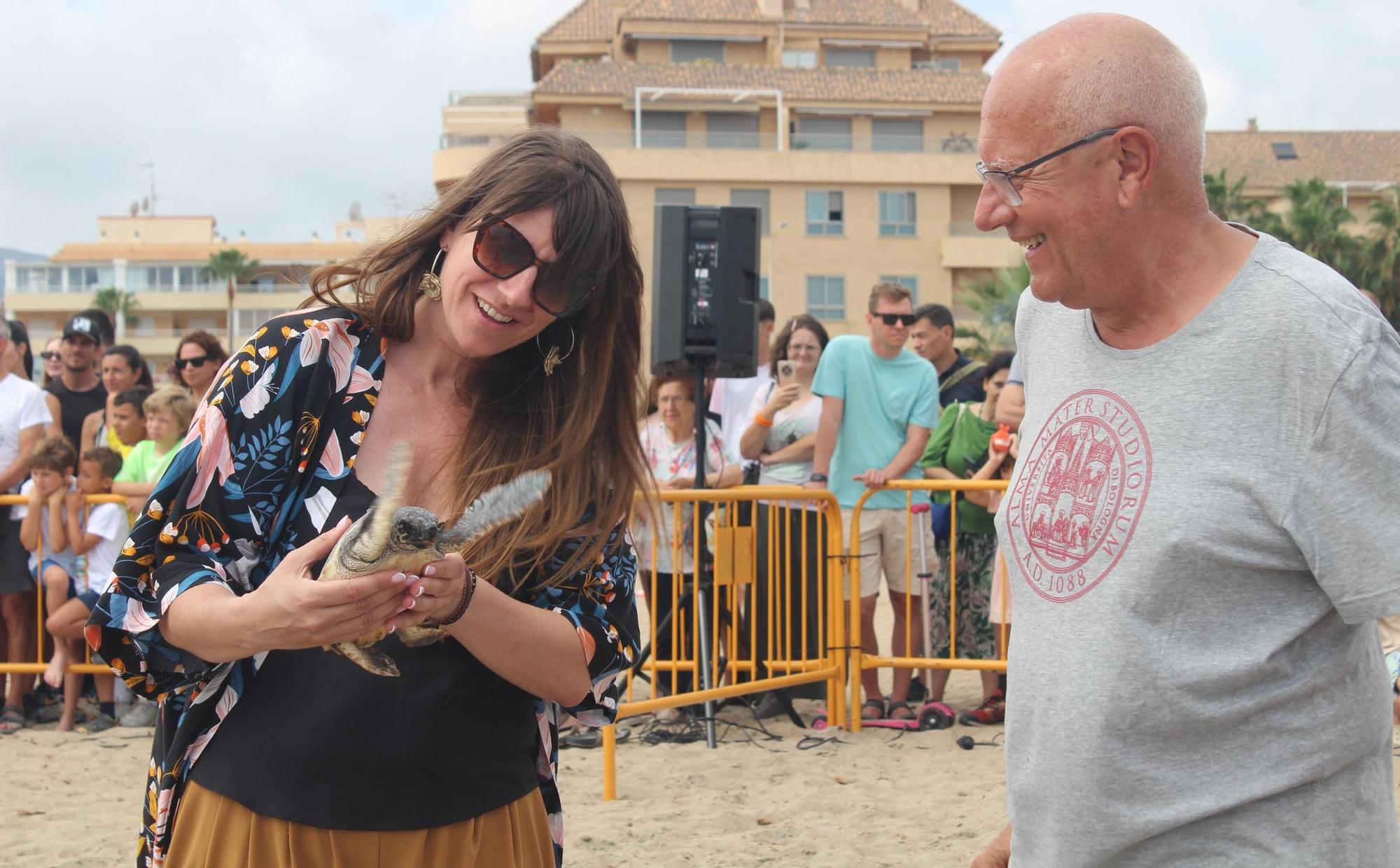 Nacieron en Dénia y han descubierto el mar en Dénia: 12 tortugas nadan libres en el Mediterráneo