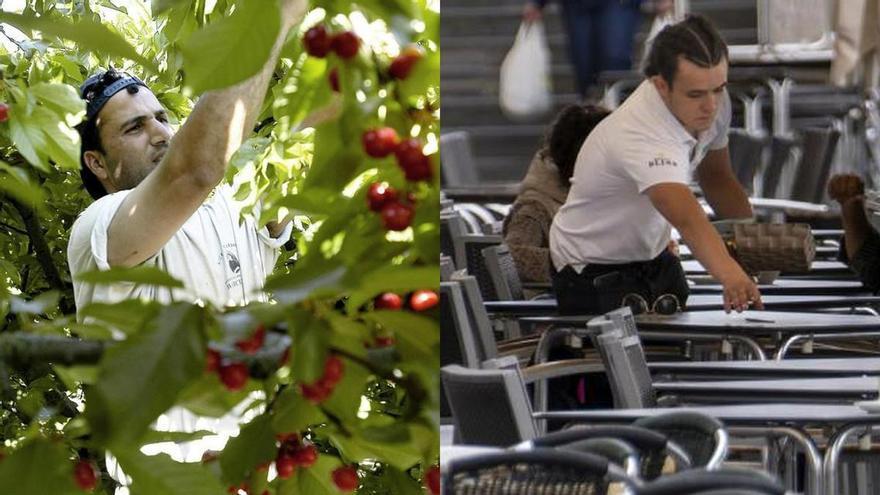 Peón agrícola y camarero suman más de un tercio de todos los contratos en Extremadura