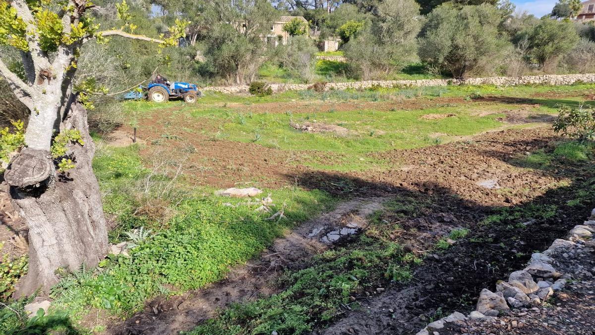 Das Finca-Gelände, das sich die Nowaks gekauft haben, um hier eigenes Obst und Gemüse anzubauen.