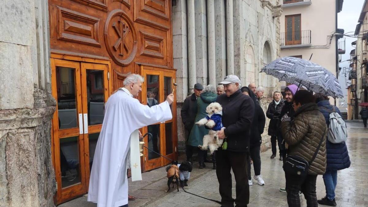 Puigcerdà celebra Sant Antoni Abat amb la missa solemne i la benedicció dels animals