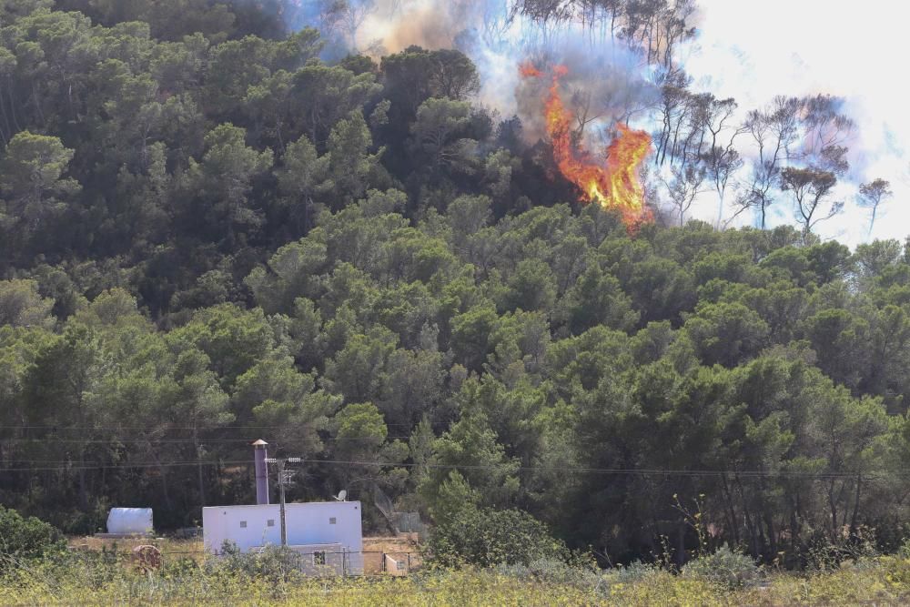 Efectivos y vecinos apagando el fuego