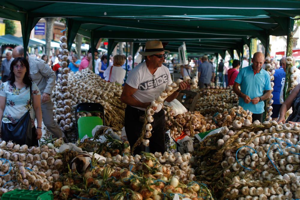 San Pedro 2016: Feria del Ajo