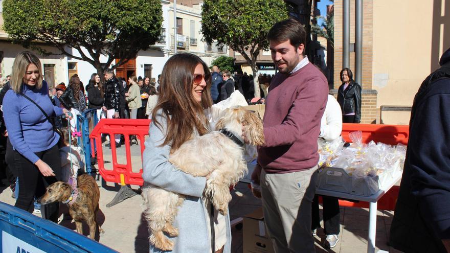 Almàssera despide su fiesta de Sant Antoni con éxito de participación