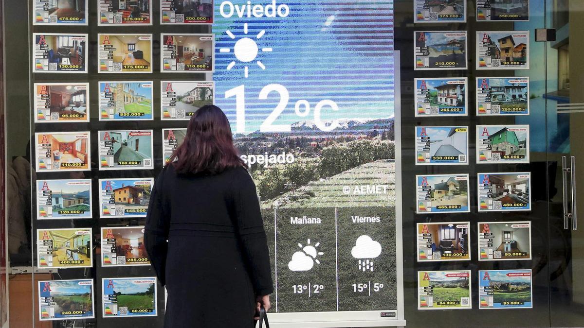 Una mujer observa ofertas de vivienda en una oficina inmobiliaria de Oviedo.