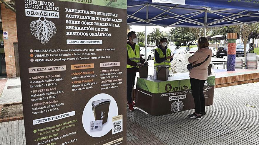 La carpa informativa sobre el reciclaje de materia orgánica, instalada en la calle Auseva. | Ricardo Solís