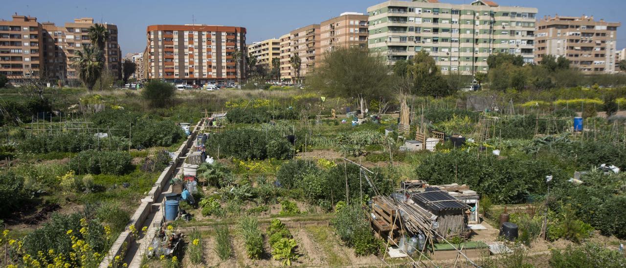 Huertos urbanos de la AVV de Benimaclet en el PAI, donde iba a construir Metrovacesa.