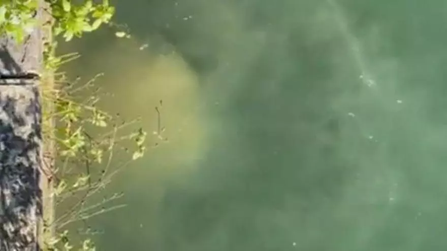 Regresan los vertidos fecales a la dársena de Cangas