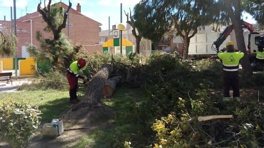 Operarios trabajan en el jardín de Aljucer.