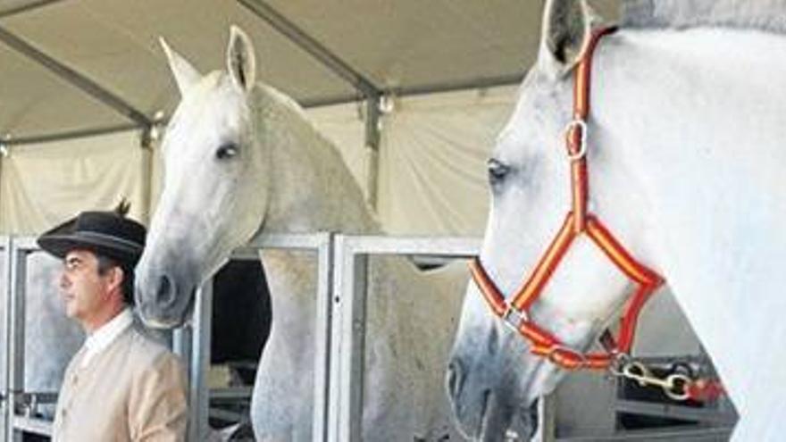 El Ayuntamiento busca inversión privada para el centro del caballo