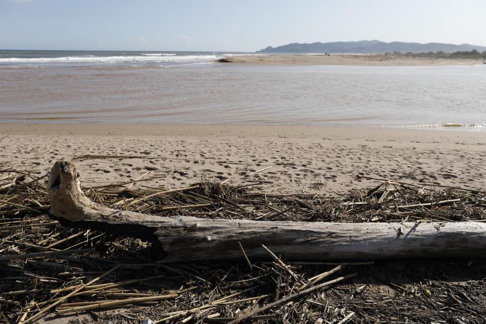 El temporal omple de restes el litoral