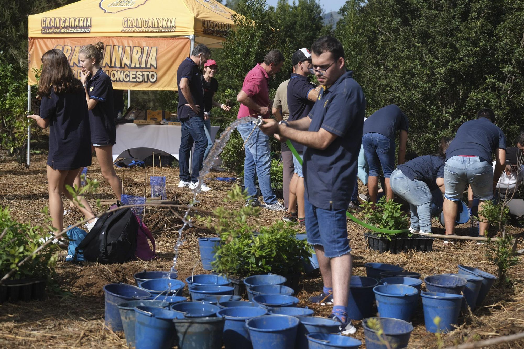 Reforestación Compromiso Granca