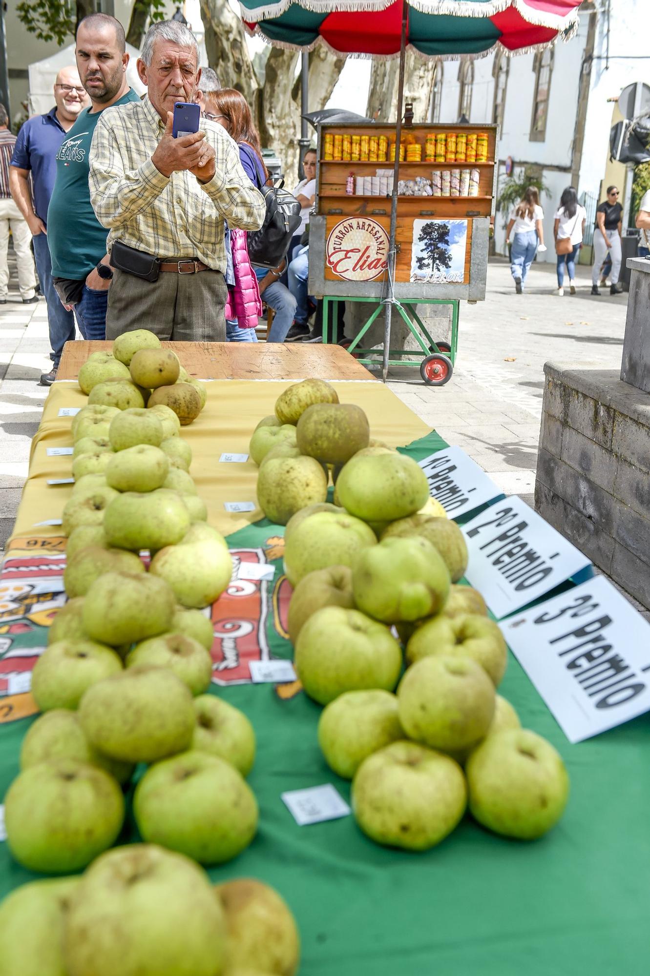 Fiestas de la manzana de Valleseco