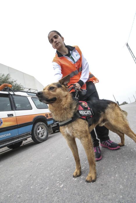 Voluntarios de Protección Civil ayer en el operativo de búsqueda en Los Montesinos