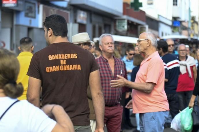 08-12-19 GRAN CANARIA. JINAMAR. JINAMAR. TELDE. Fiesta de la Inmaculade Concepcion y de la Caña Dulce de Jinamar, feria de ganado, procesión.. Fotos: Juan Castro.  | 08/12/2019 | Fotógrafo: Juan Carlos Castro