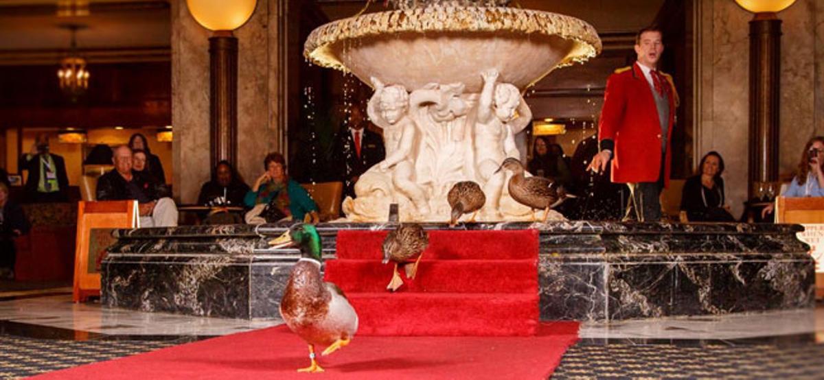 Los 10 trabajos más raros del mundo