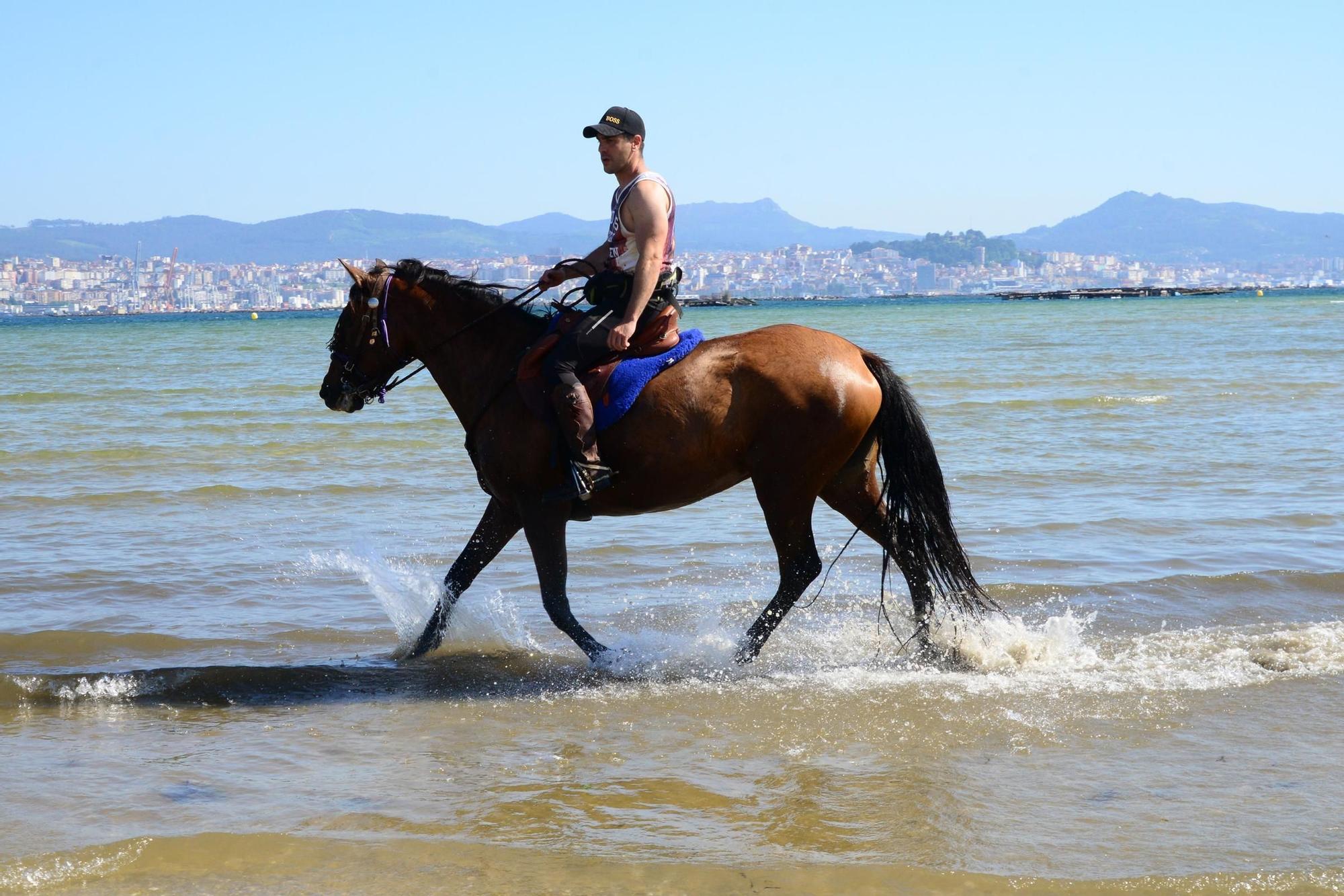 Una espectacular jornada a caballo por Moaña (I)