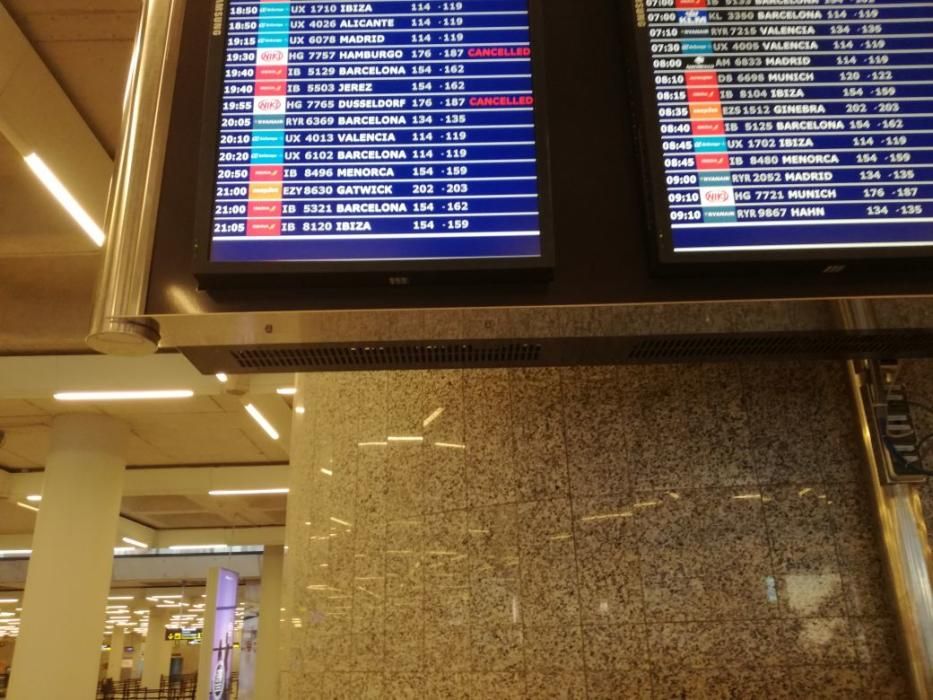 Niki-Opfer am Donnerstagabend (14.12.) auf dem Flughafen von Palma.