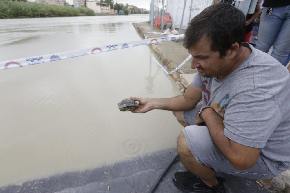 Así ha quedado la feria de La Fica tras la gota fría