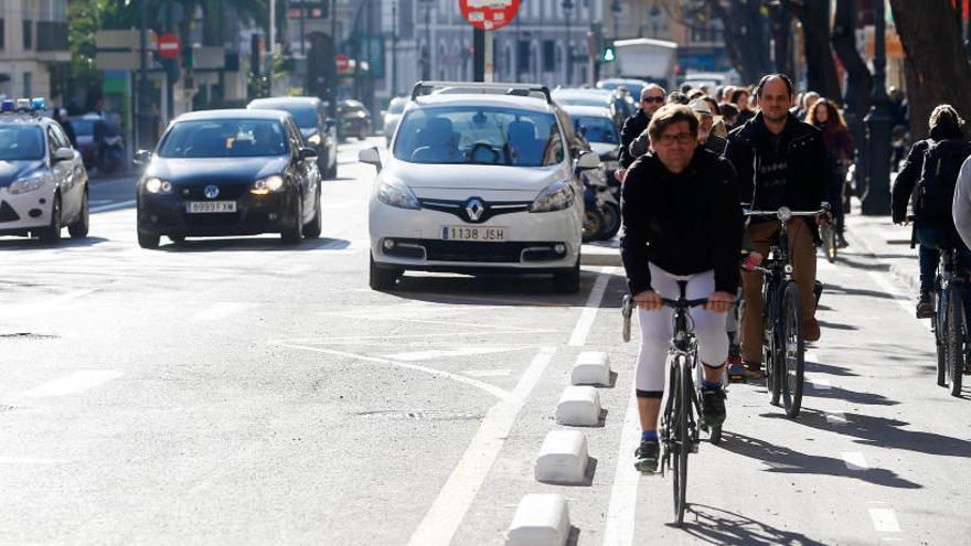 Ciclistas urbanos en un carril bici de Valencia.