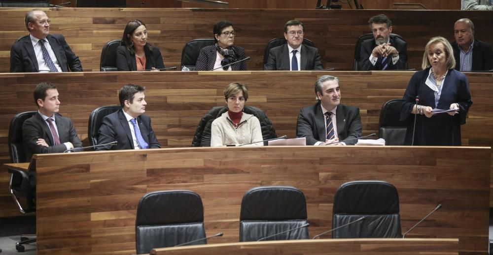 Pleno de la Junta General del Principado