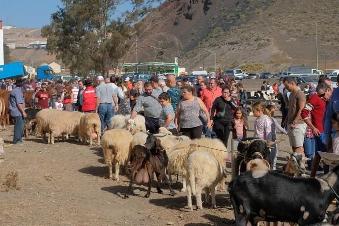 FIESTAS DE JINÁMAR