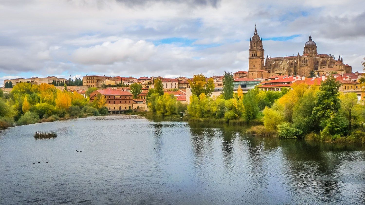 Salamanca tierra mia arte sabiduria