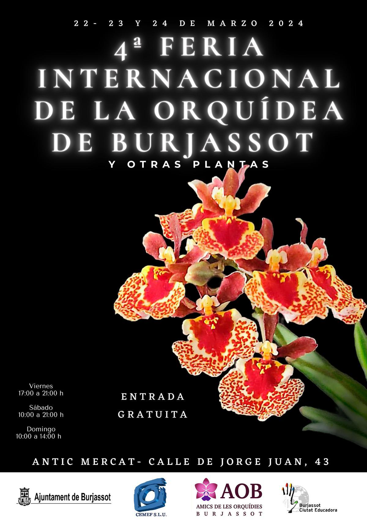 Burjassot celebra este fin de semana la Feria de la Orquídea.