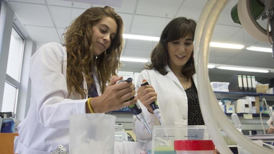 Dos científicas en plena faena en un laboratorio valenciano.