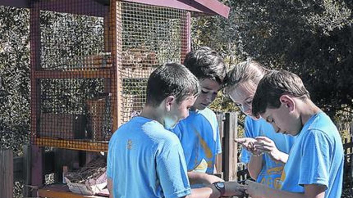 Varios alumnos de la Escola Montseny, junto a su hotel de insectos.