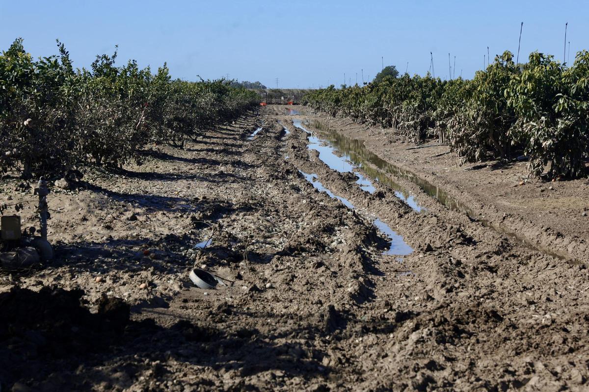 Imagen de zonas agrícolas afectadas por el tren de borrascas.