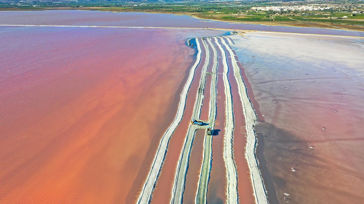 La salinera de Torrevieja extrae por primera vez sal de las orillas de la laguna rosa para paliar la falta de producción por el impacto de la DANA y la borrasca Gloria