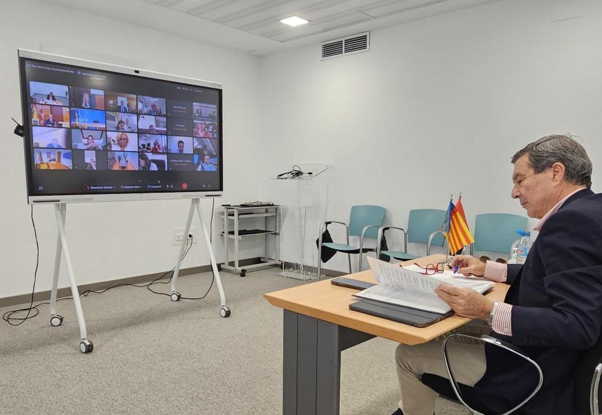El conseller durante la reunión de este miércoles del Consejo Interterritorial de Sanidad