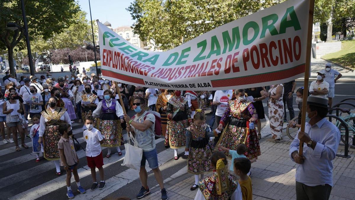 Manifestación en Zamora, en contra de la macrogranja de Carbajales de Alba